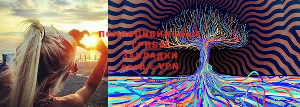 Альфа ПВП Россошь